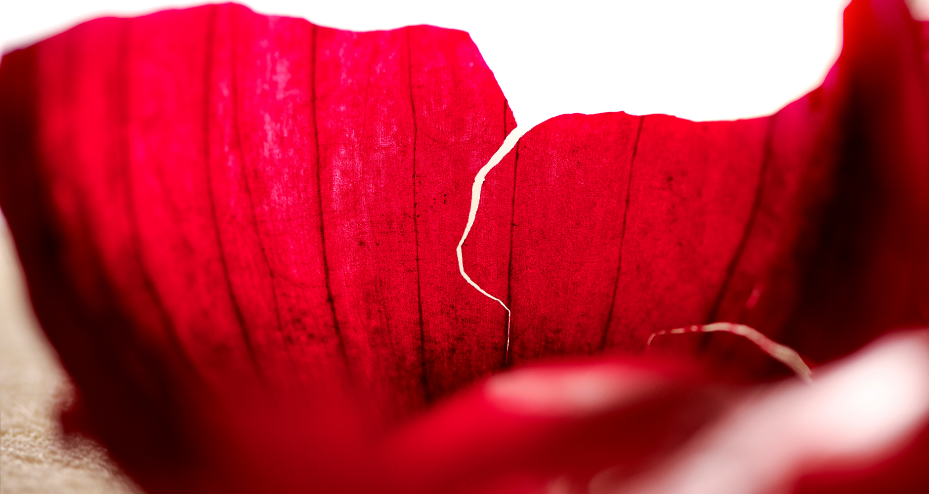 This image has been removed. For security reasons, only images from the local domain are allowed. Image removed.