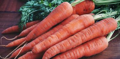 Bunch of picked carrots on wooden table 